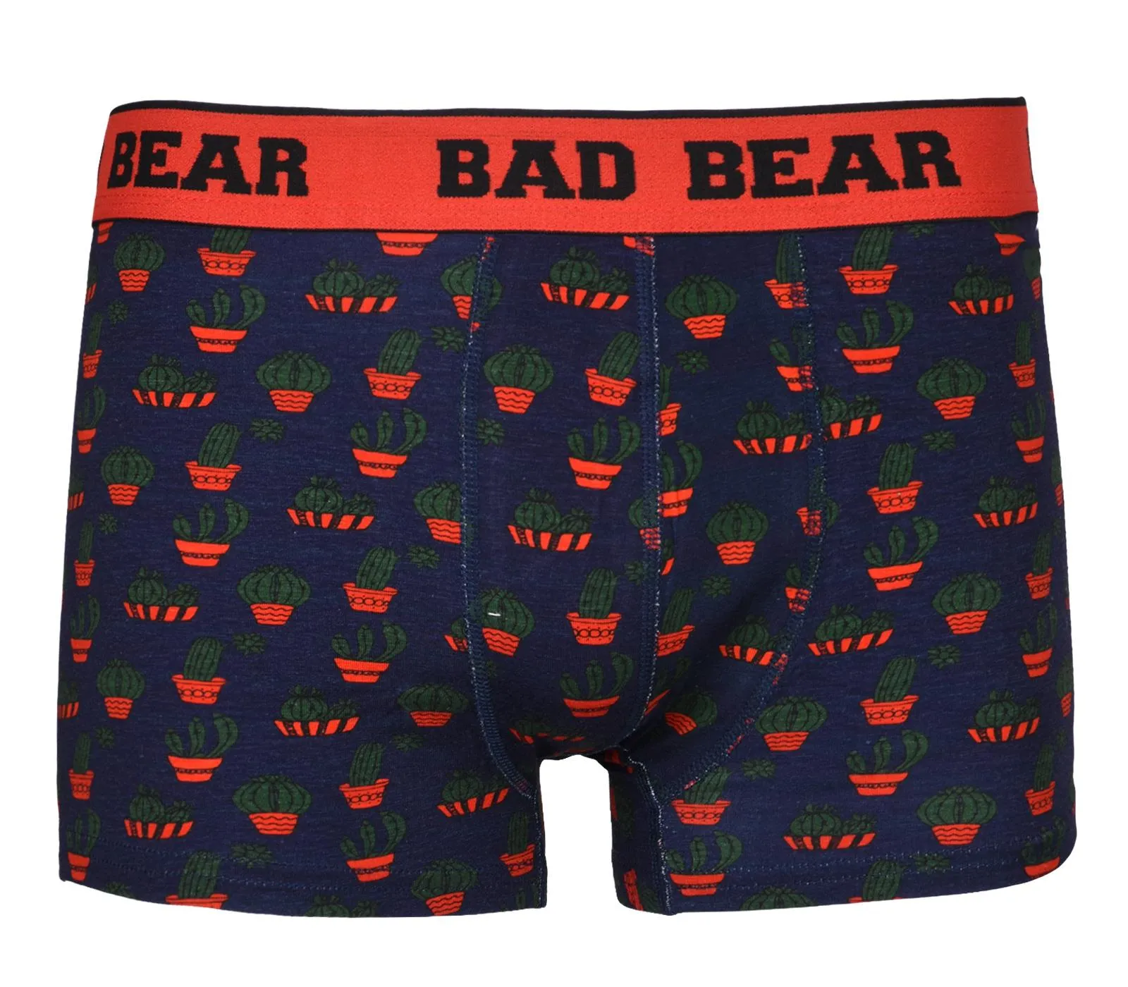 Kids Cactus Cotton Boxer