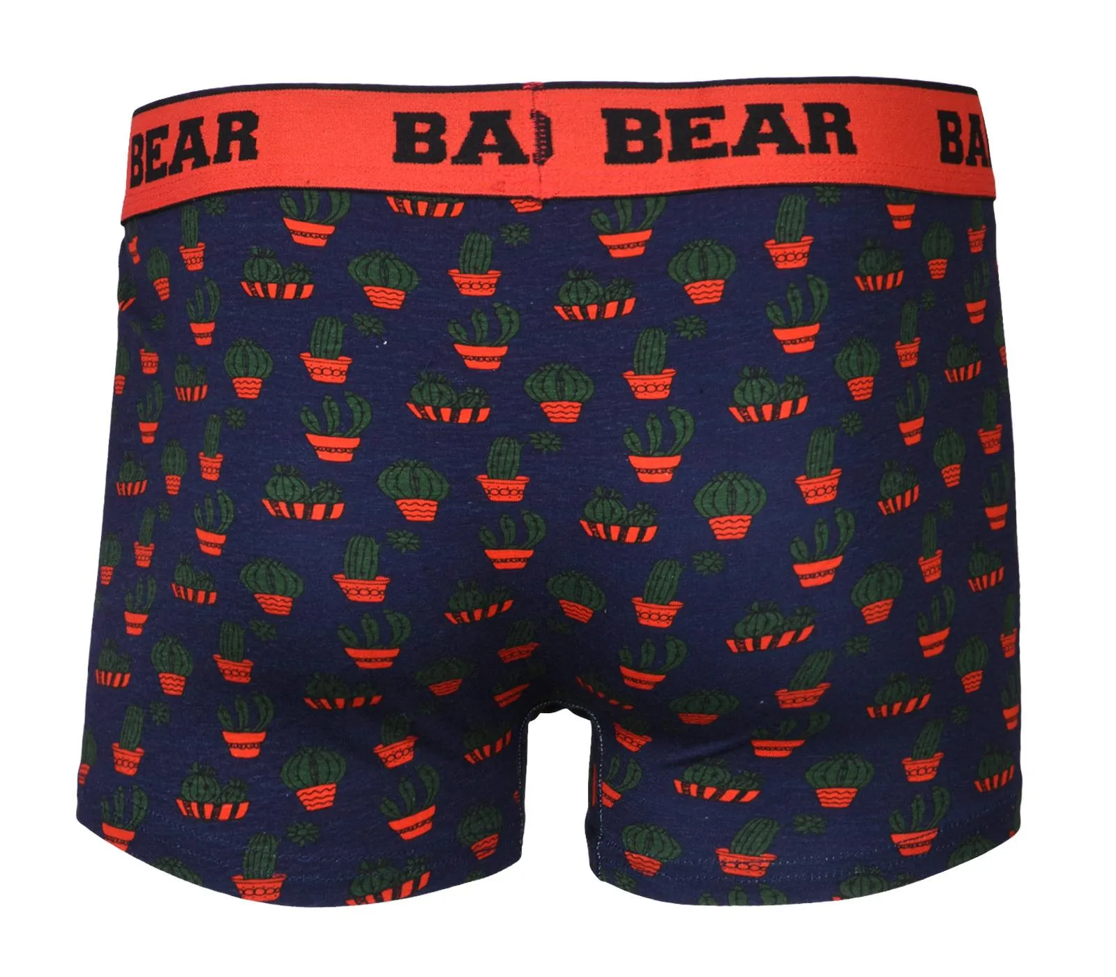 Kids Cactus Cotton Boxer