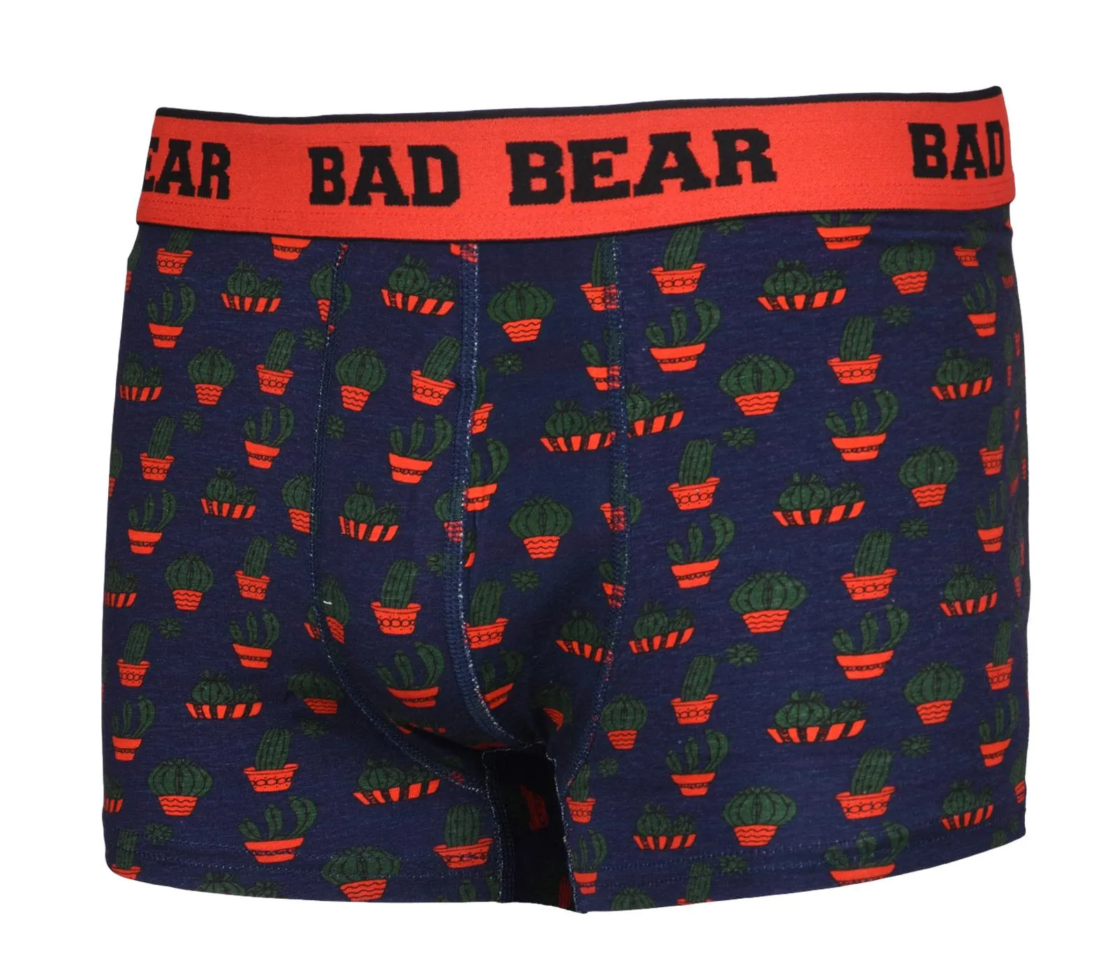 Kids Cactus Cotton Boxer